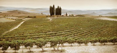 Tree Circle, Tuscany by Trevor Neal